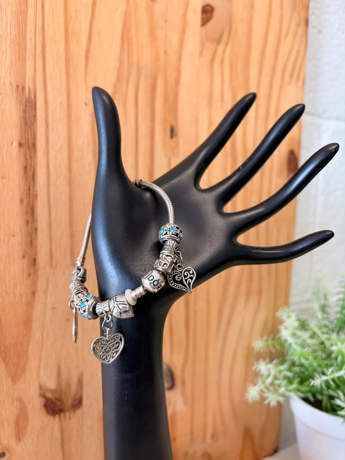 Pandora Charm Bracelet