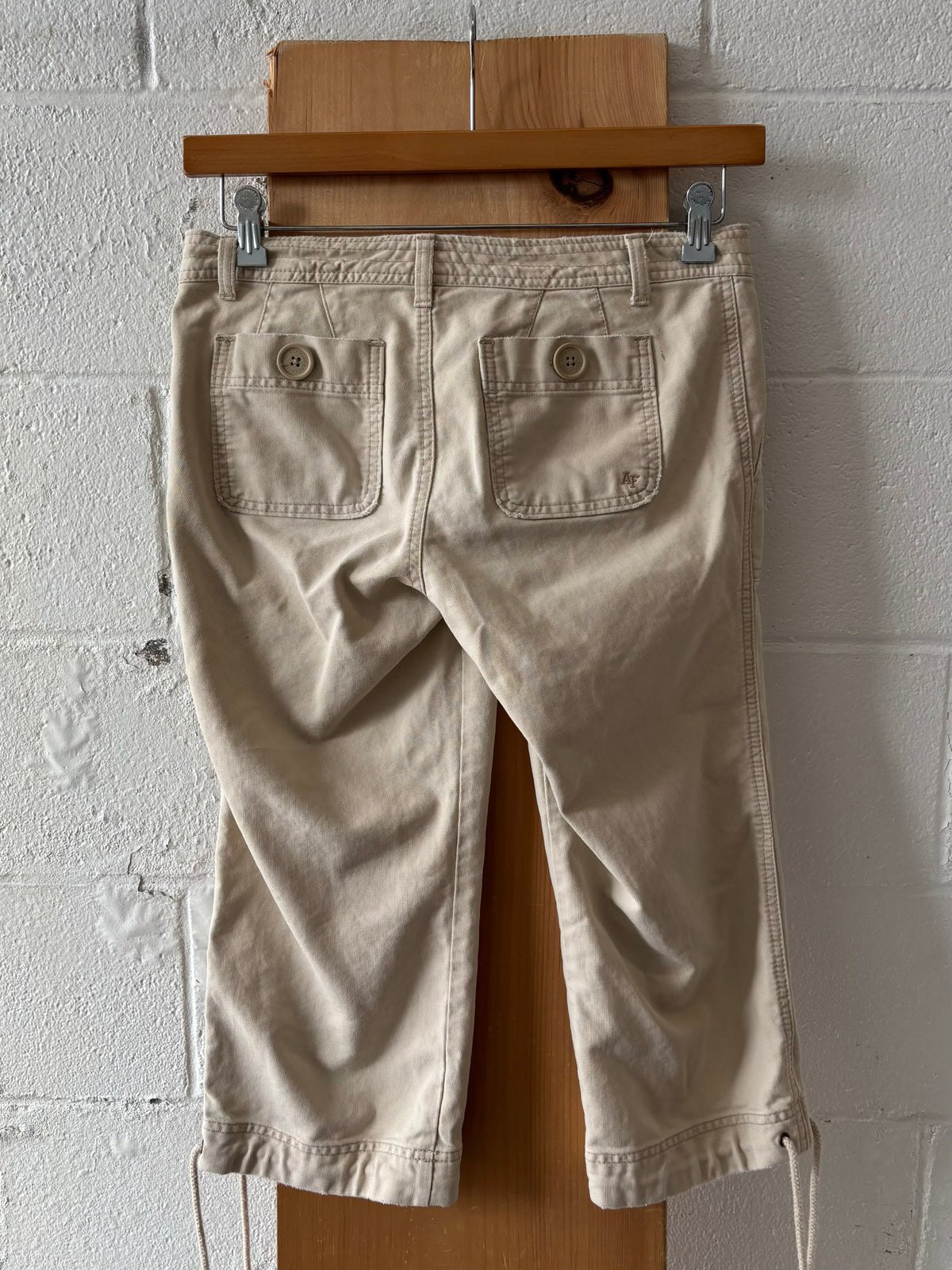 Y2K Lowrise Capris : 4