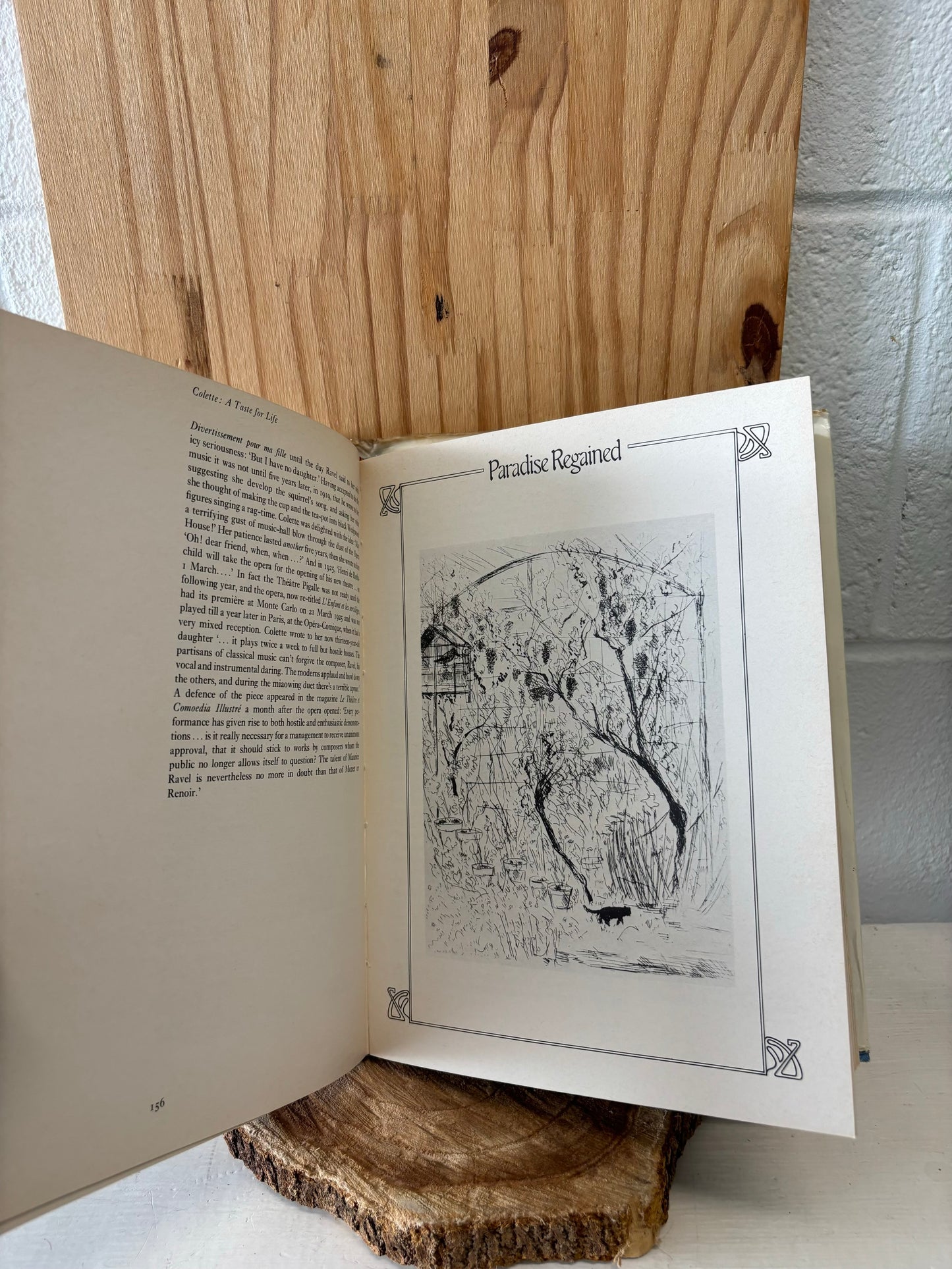 Vtg Colette A Taste of Life Book (Local Pickup Only)