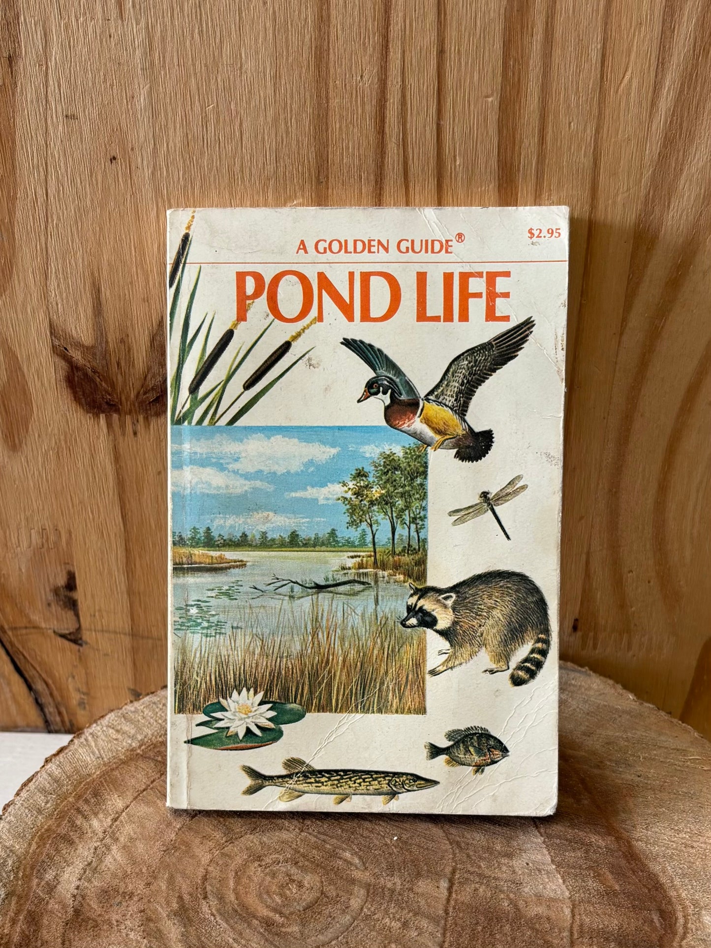 Pond Life Book