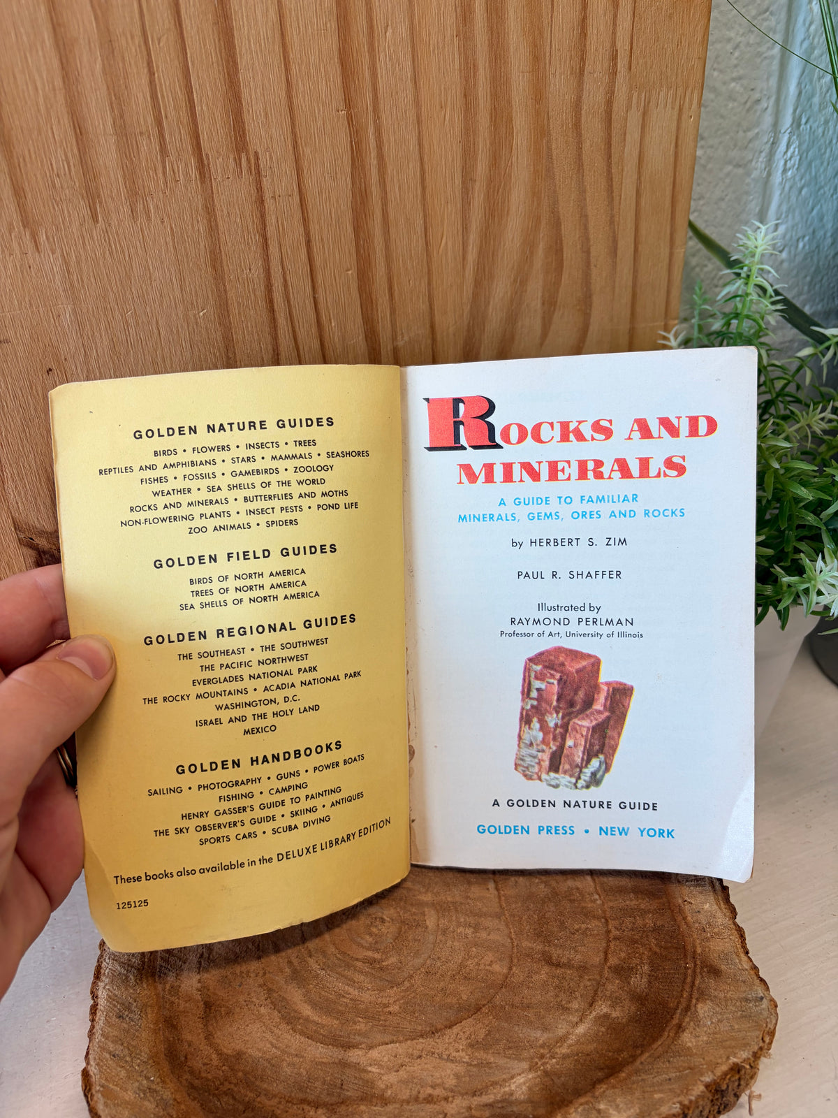 Vtg Little Rocks & Minerals Guide
