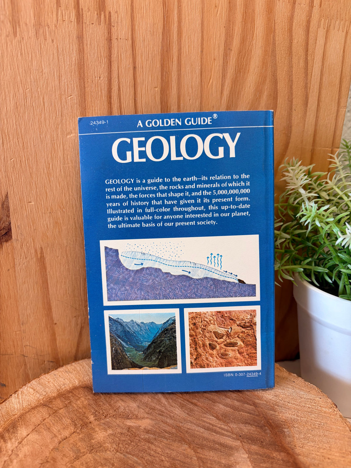 Vtg Little Golden Guide Geology Book
