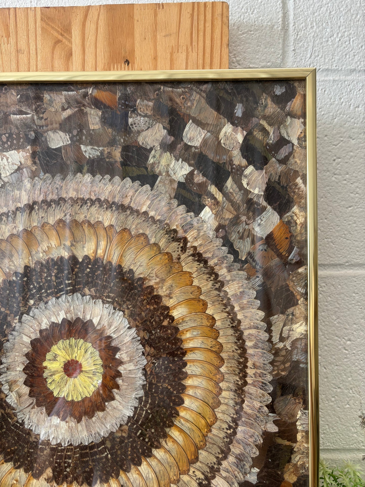 Vtg Butterfly Art (Local Pickup Only)