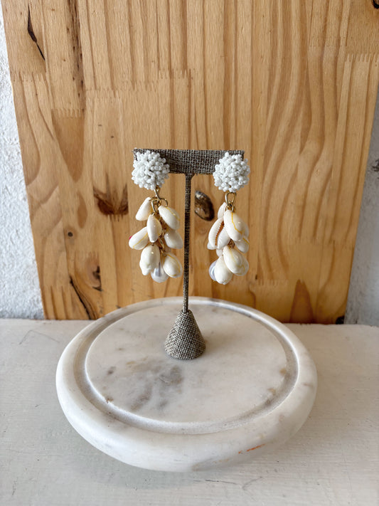 Shell Earrings