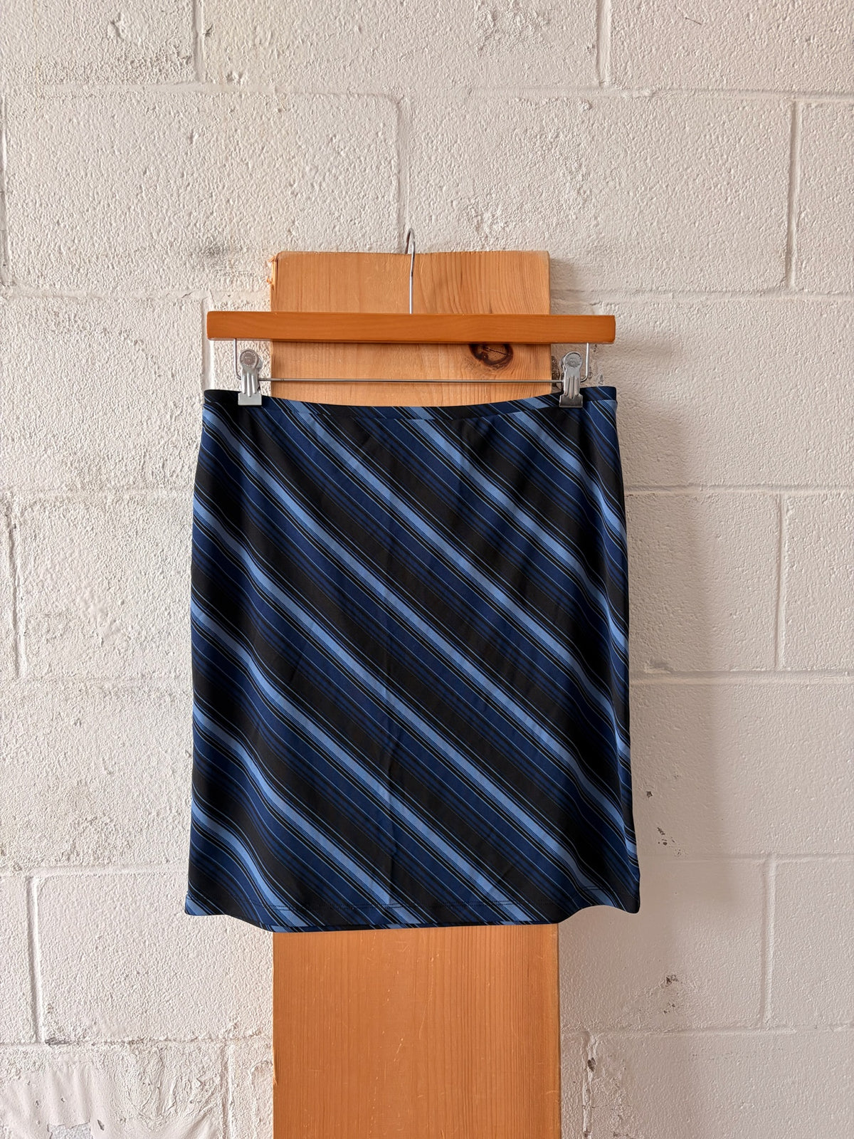 Striped Blue Skirt : L