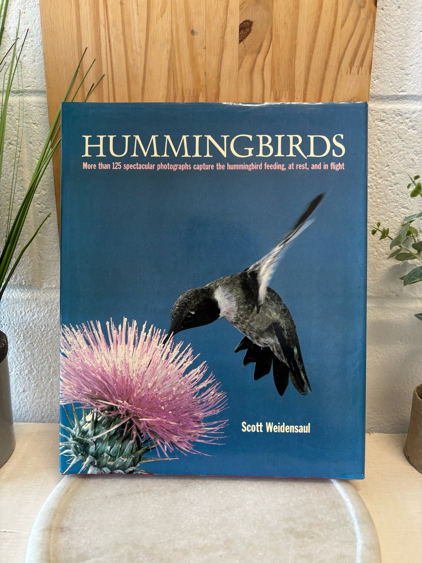Hummingbird Coffee Table Book