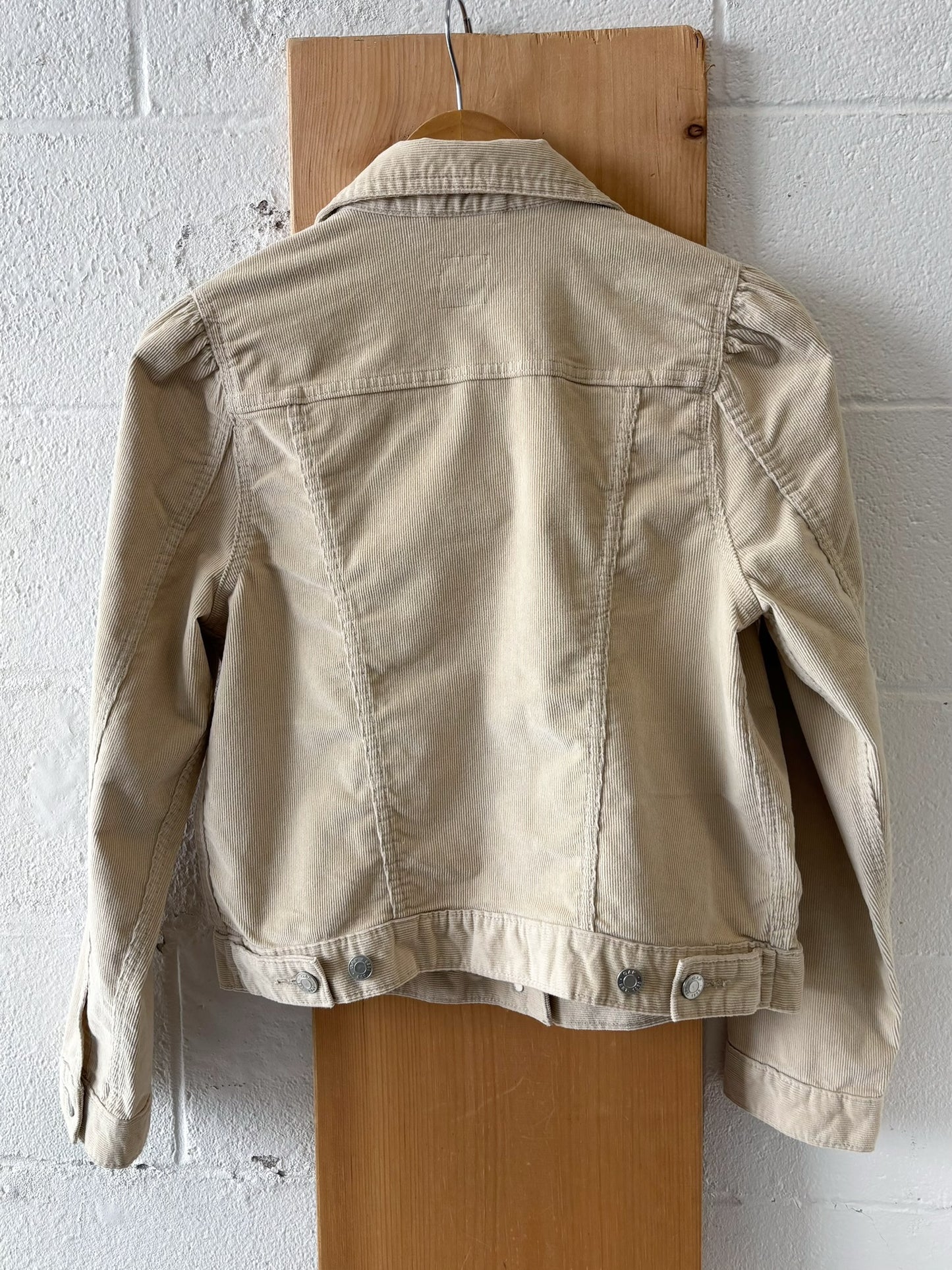 NWT Corduroy Gap Jacket : S