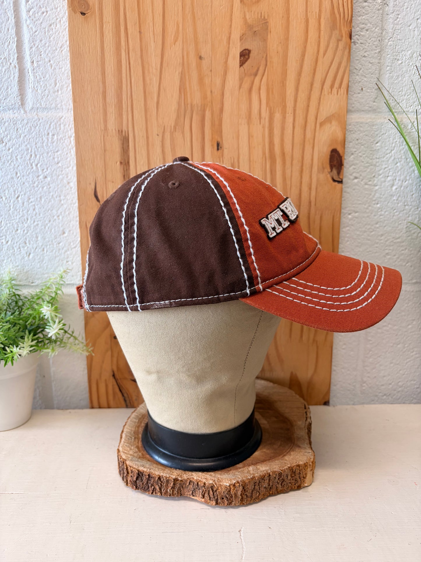 Mt. Rushmore Cap