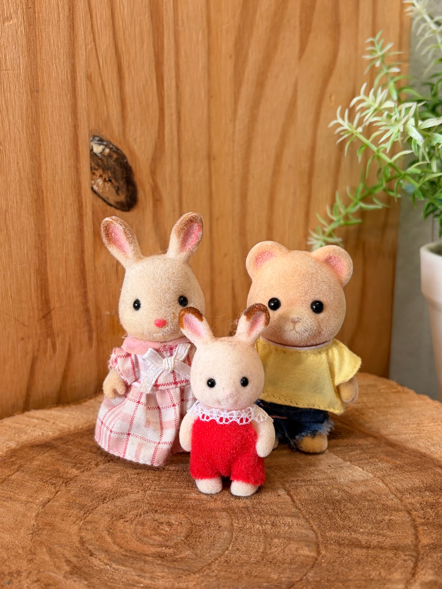 Calico Critter Family