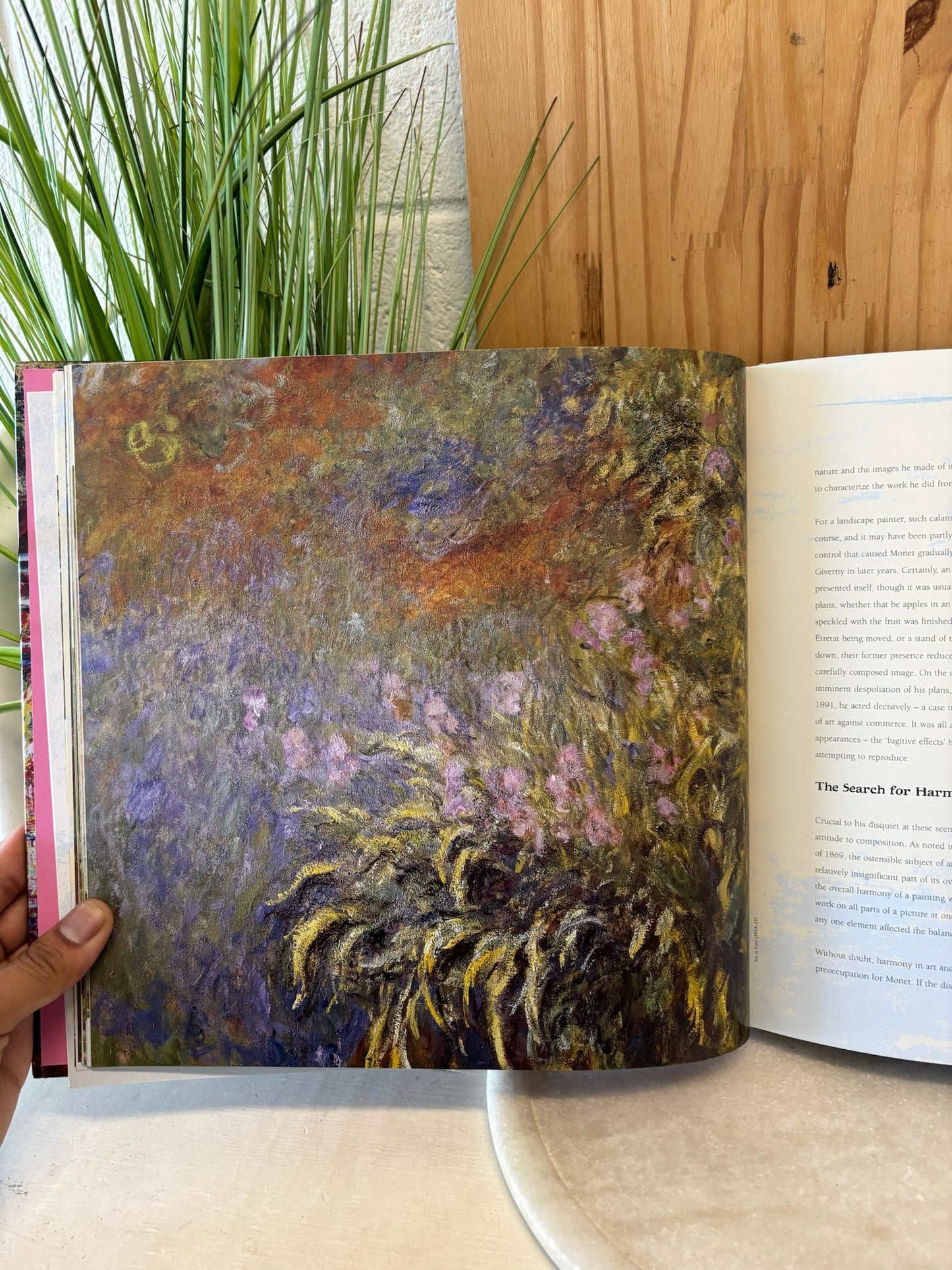 Monet Art Book