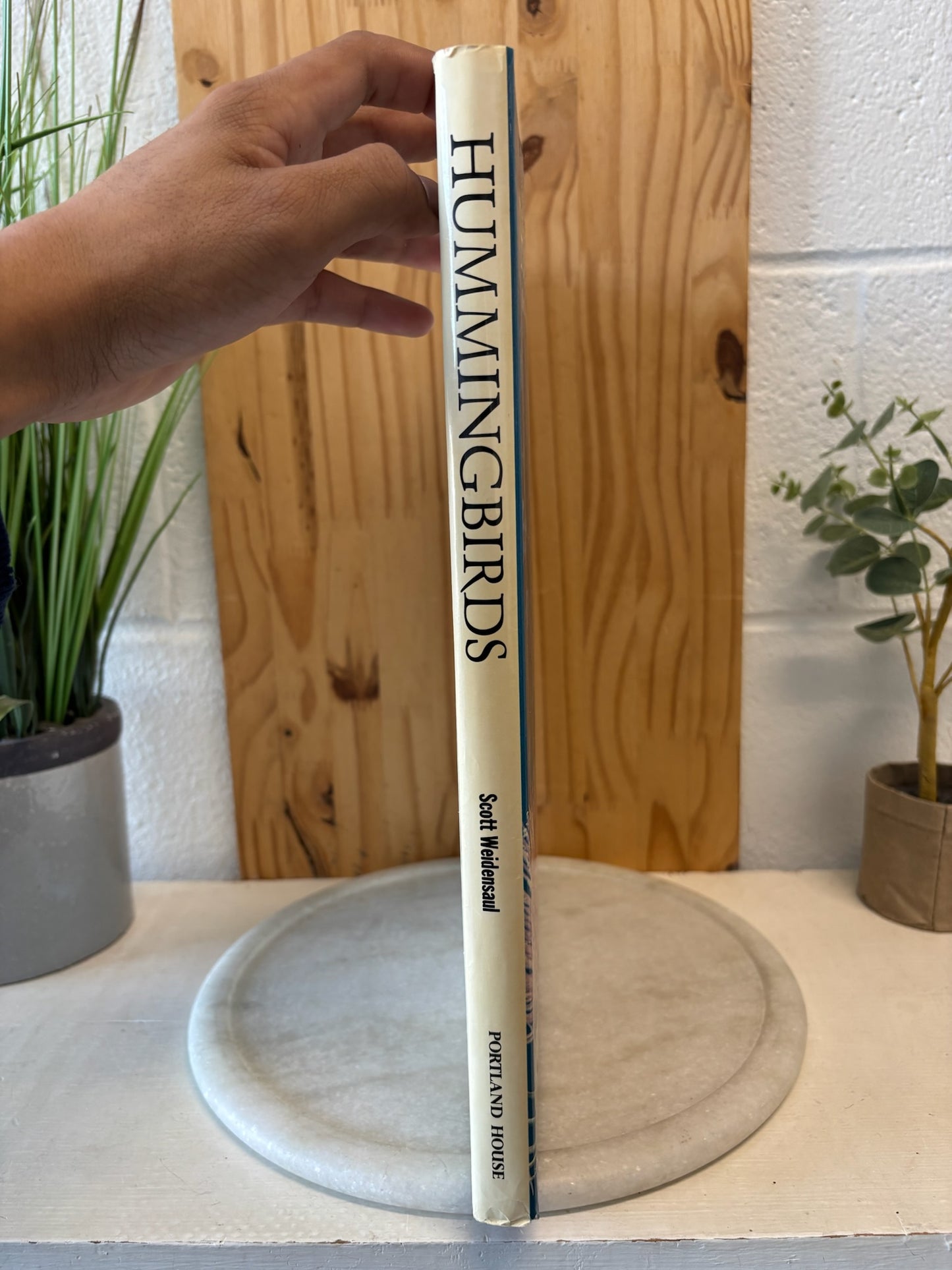 Hummingbird Coffee Table Book