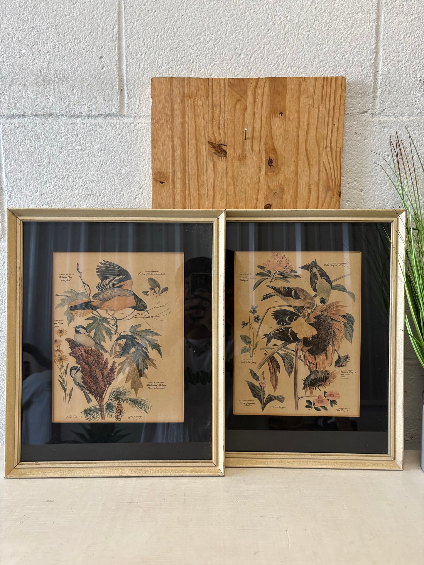 Vtg Pair of Framed Bird & Botanical Prints (Local Pickup Only)