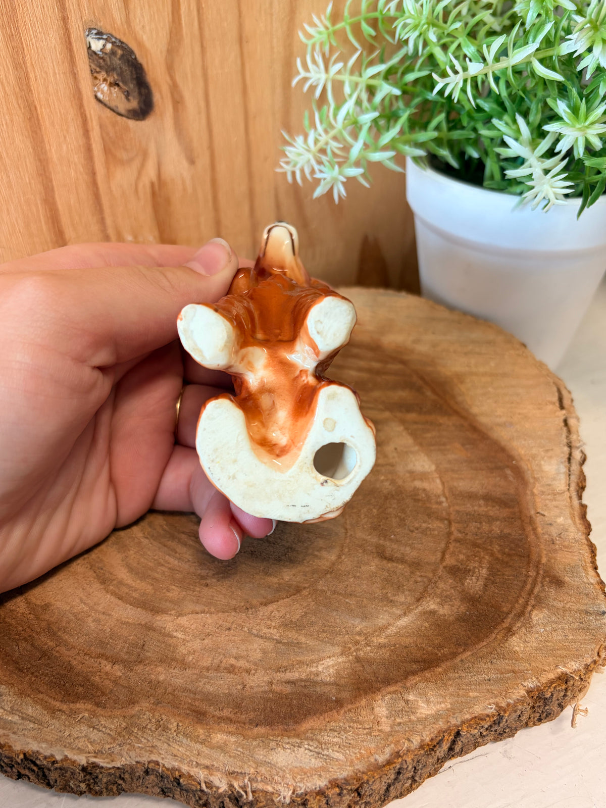 Vtg Ceramic Dog Figurine (Local Pick Up Only)