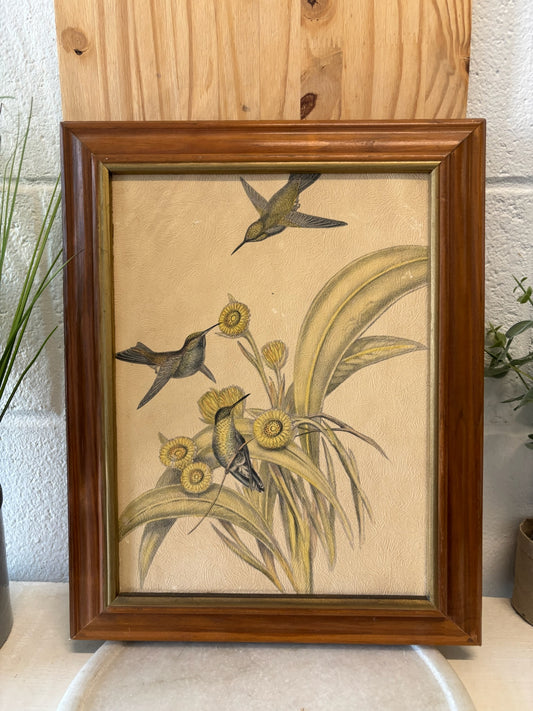 Framed Bird Textured Print (Local Pick Up Only)