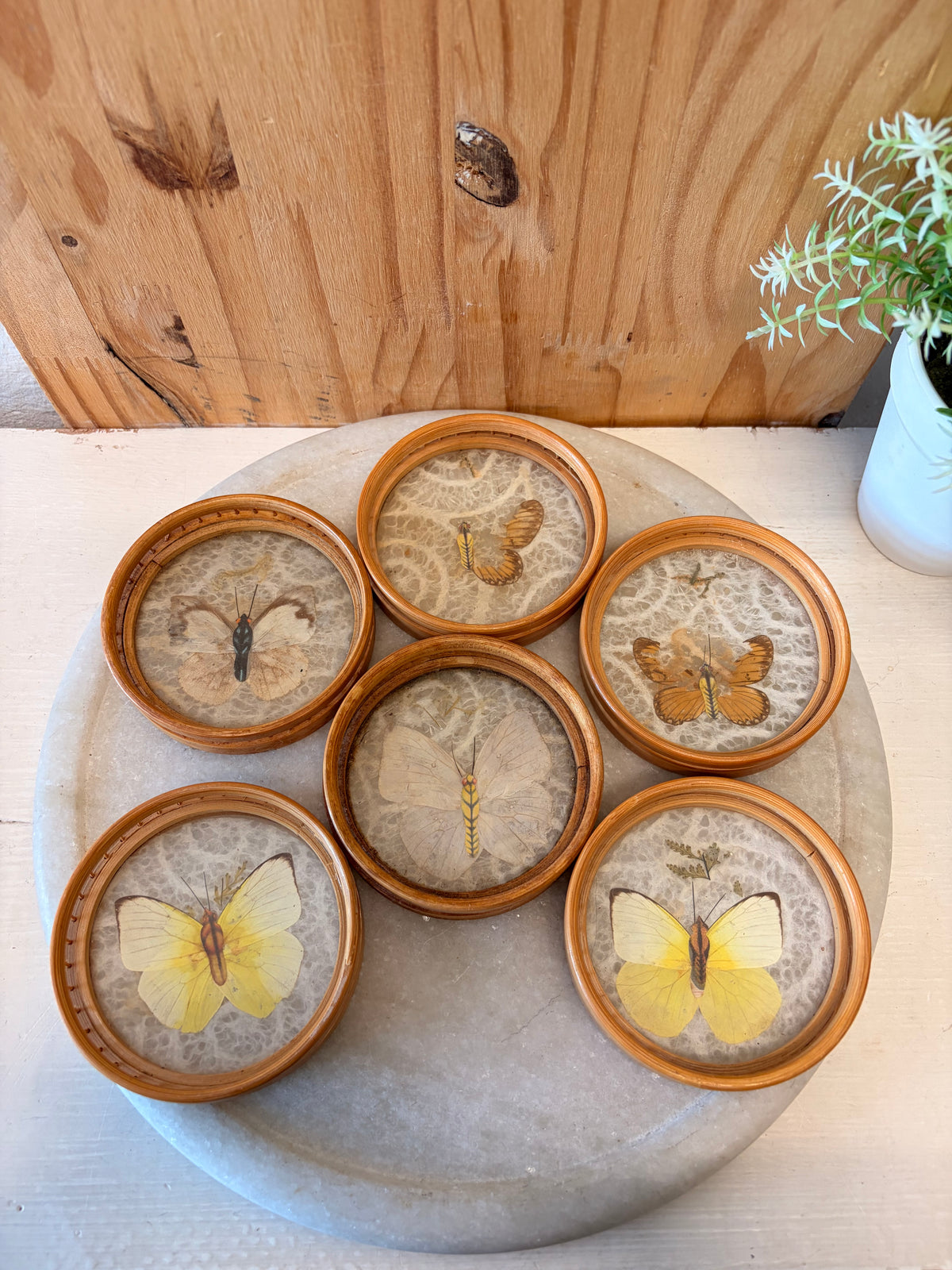 Vtg Butterfly Bamboo Coasters & Serving Tray Set (Local Pick Up Only - As Is)