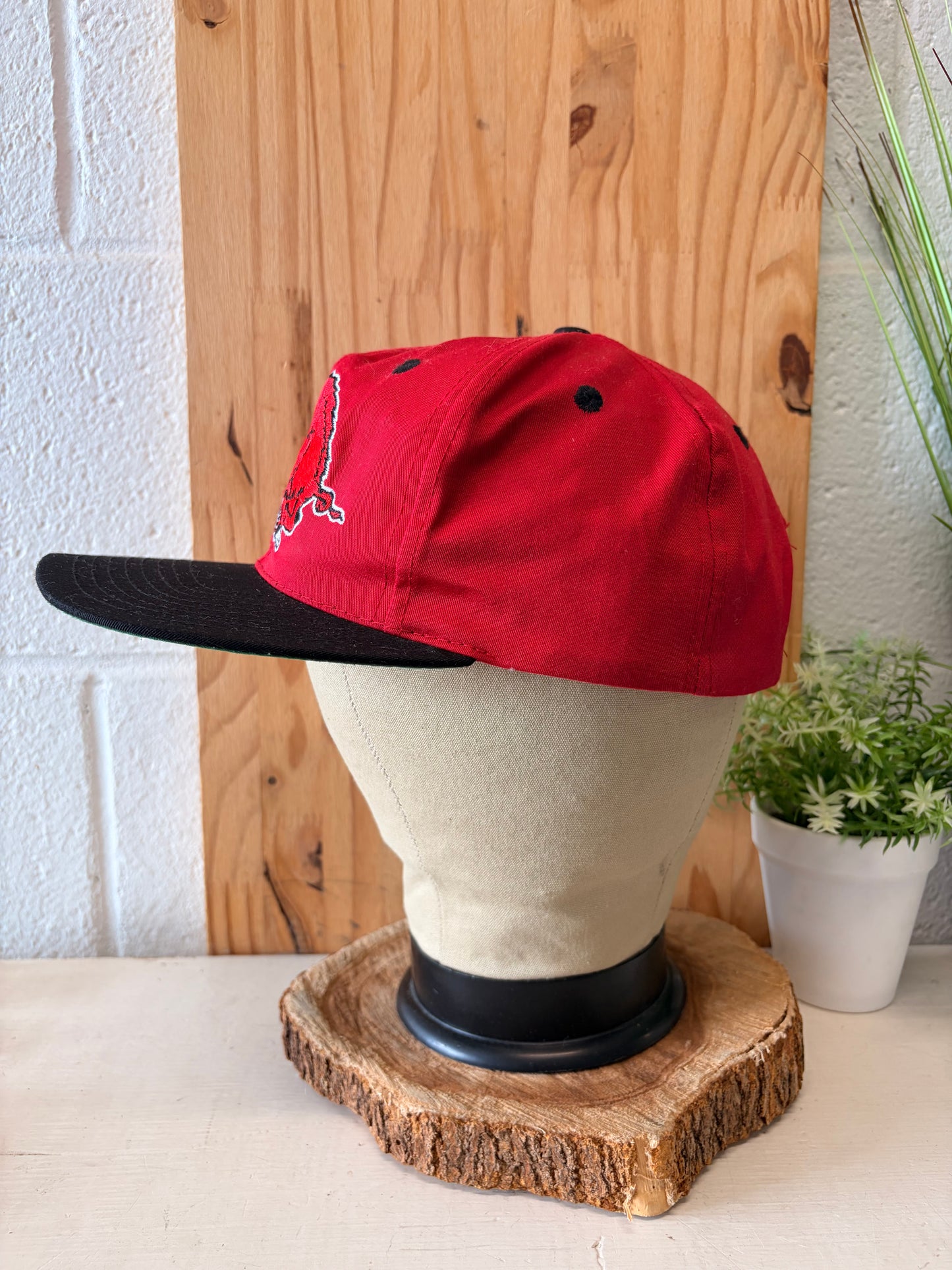 Vtg Front Row Arkansas Snapback