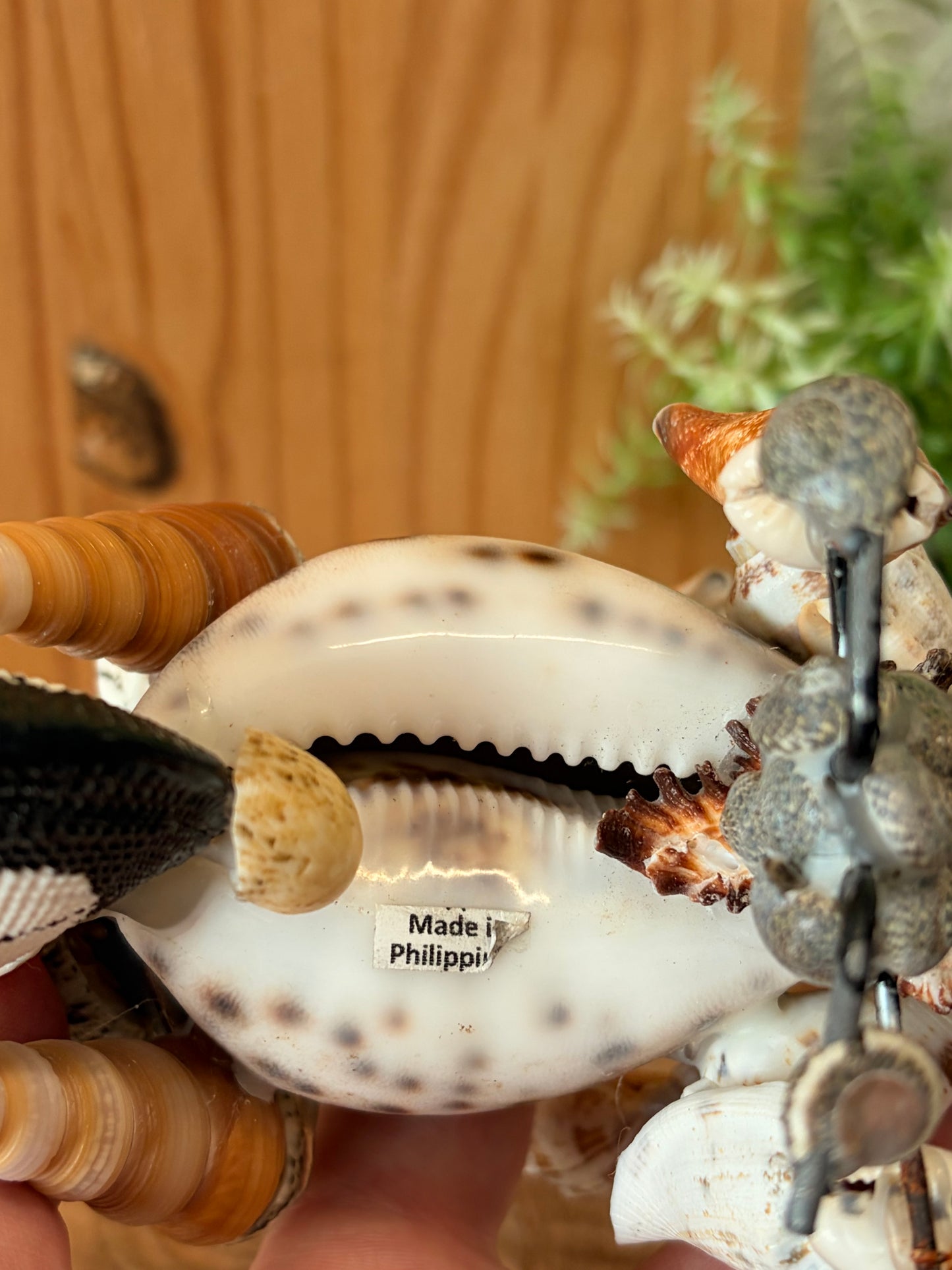 Seashell Motorcycle Figure (Local Pick Up Only)