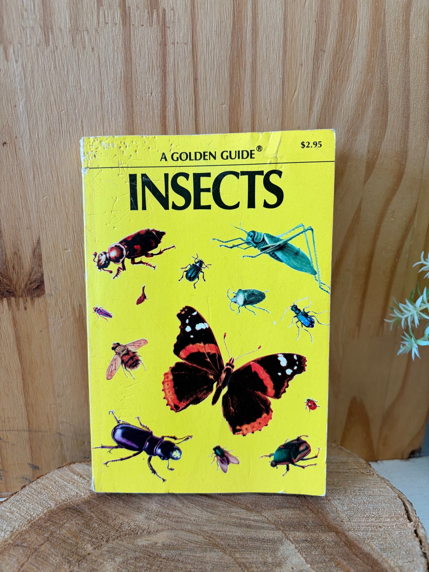 Vtg Golden Guide Insects Book