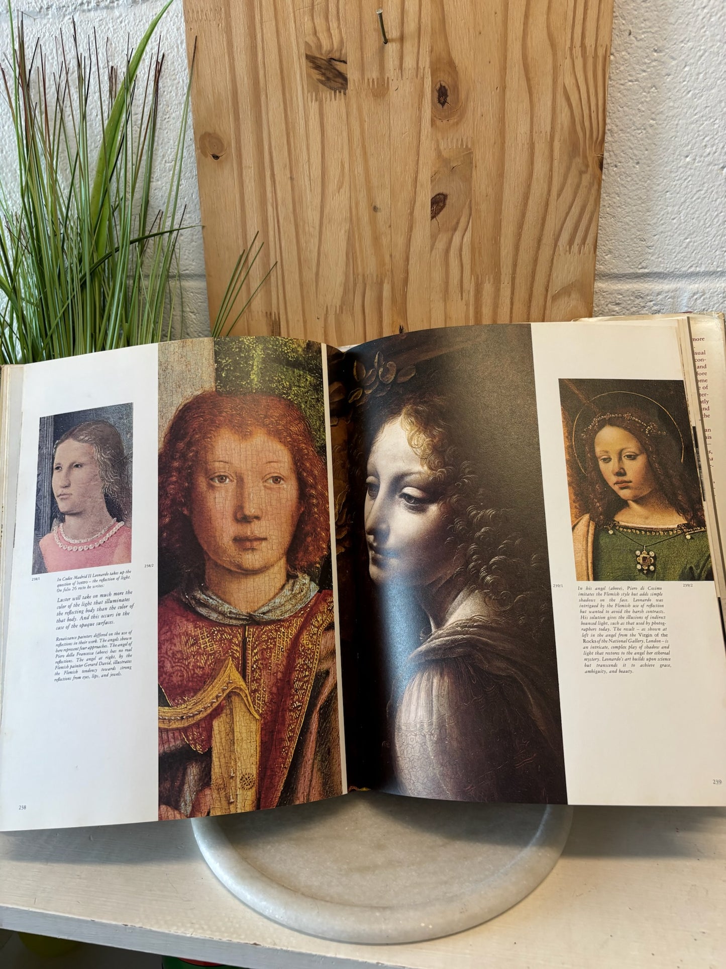 Leonardo da Vinci Coffee Table Book