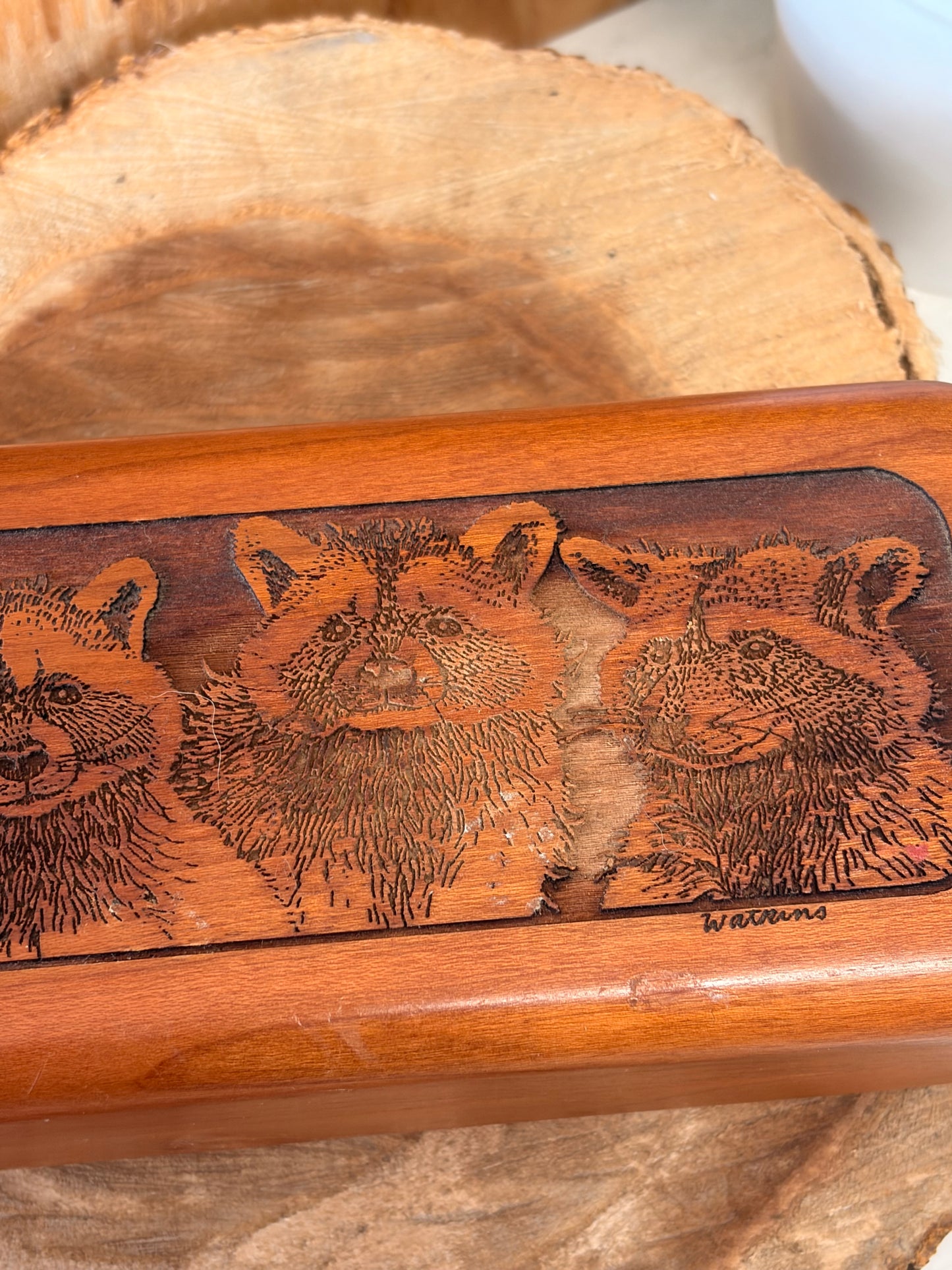 Raccoon Carved Wooden Case
