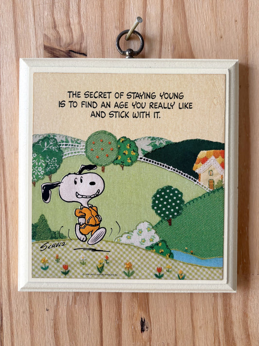 Vtg Snoopy Wall Art