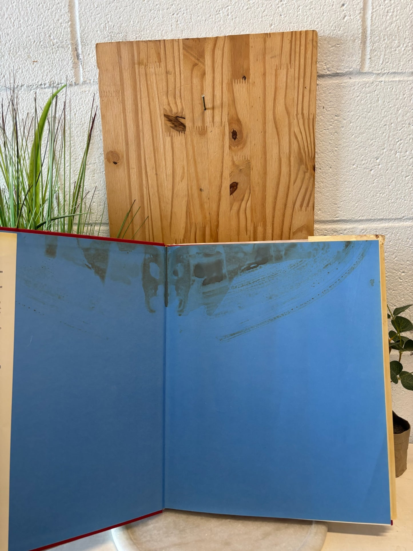 Hummingbird Coffee Table Book