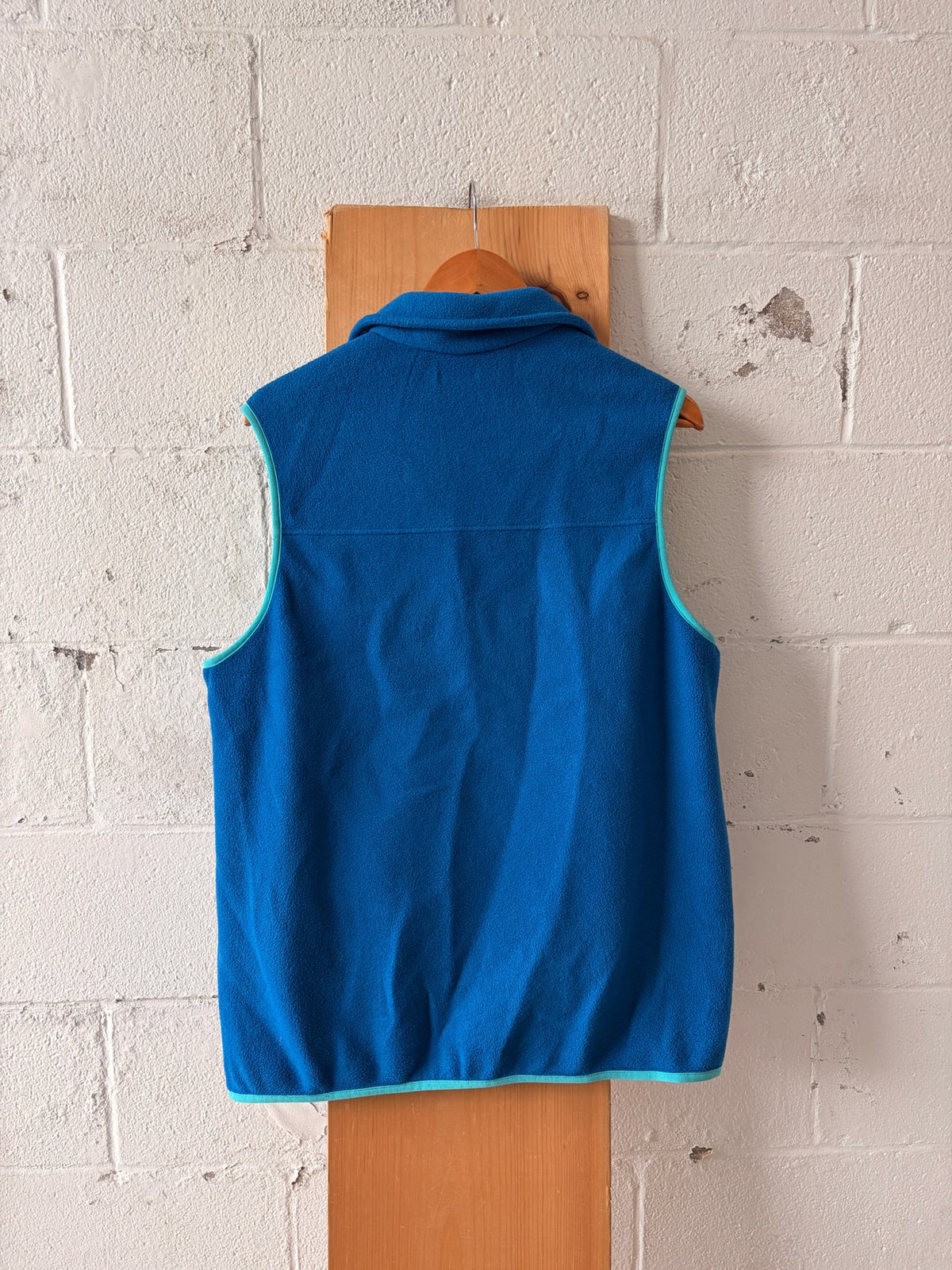 Patagonia Synchilla Blue Vest : L