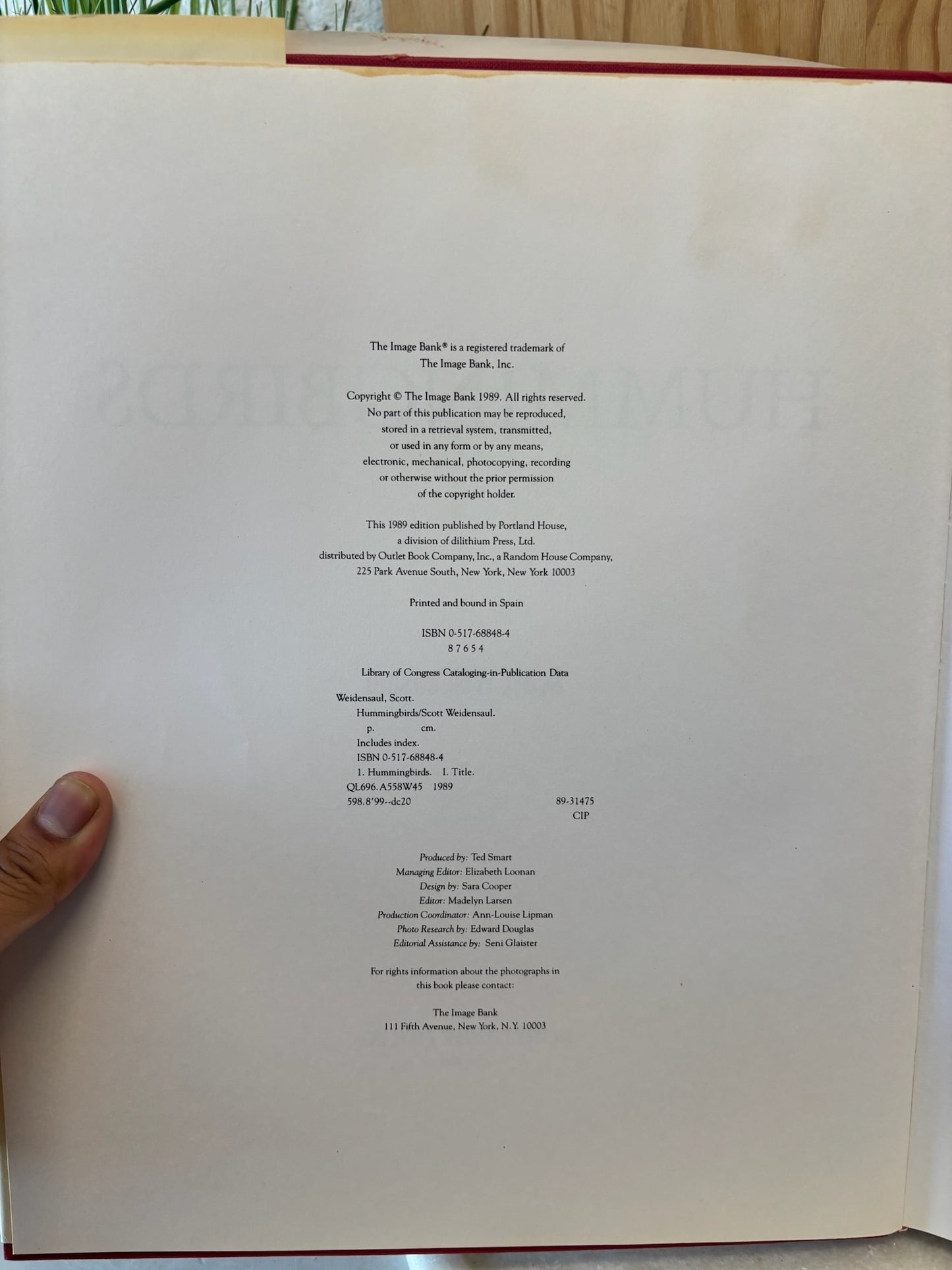 Hummingbird Coffee Table Book