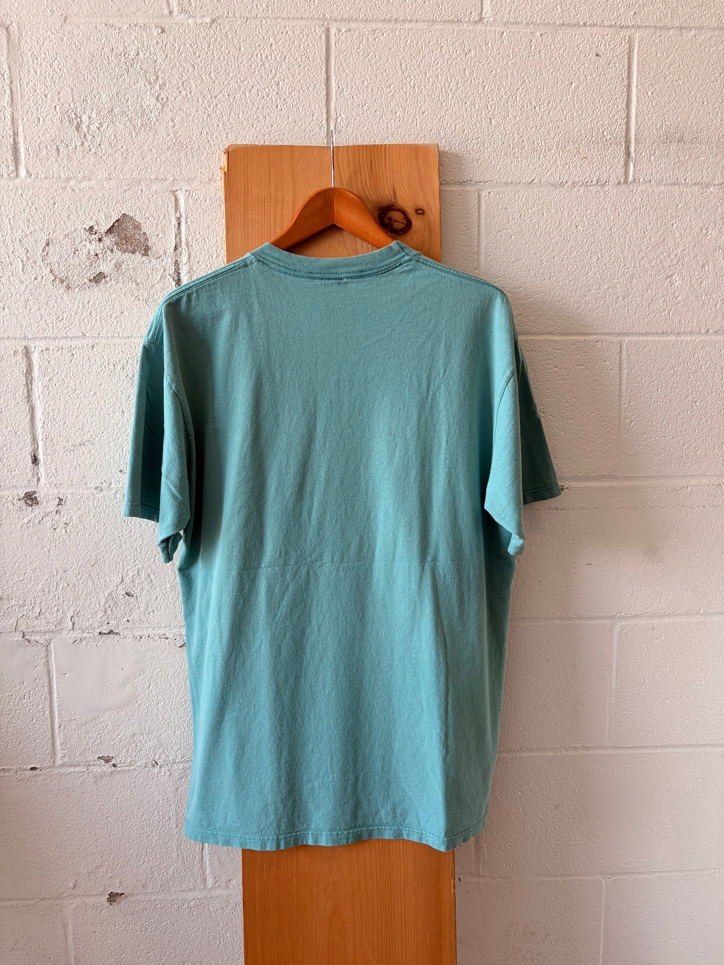 Vtg Hummingbird Arkansas Tee : XL