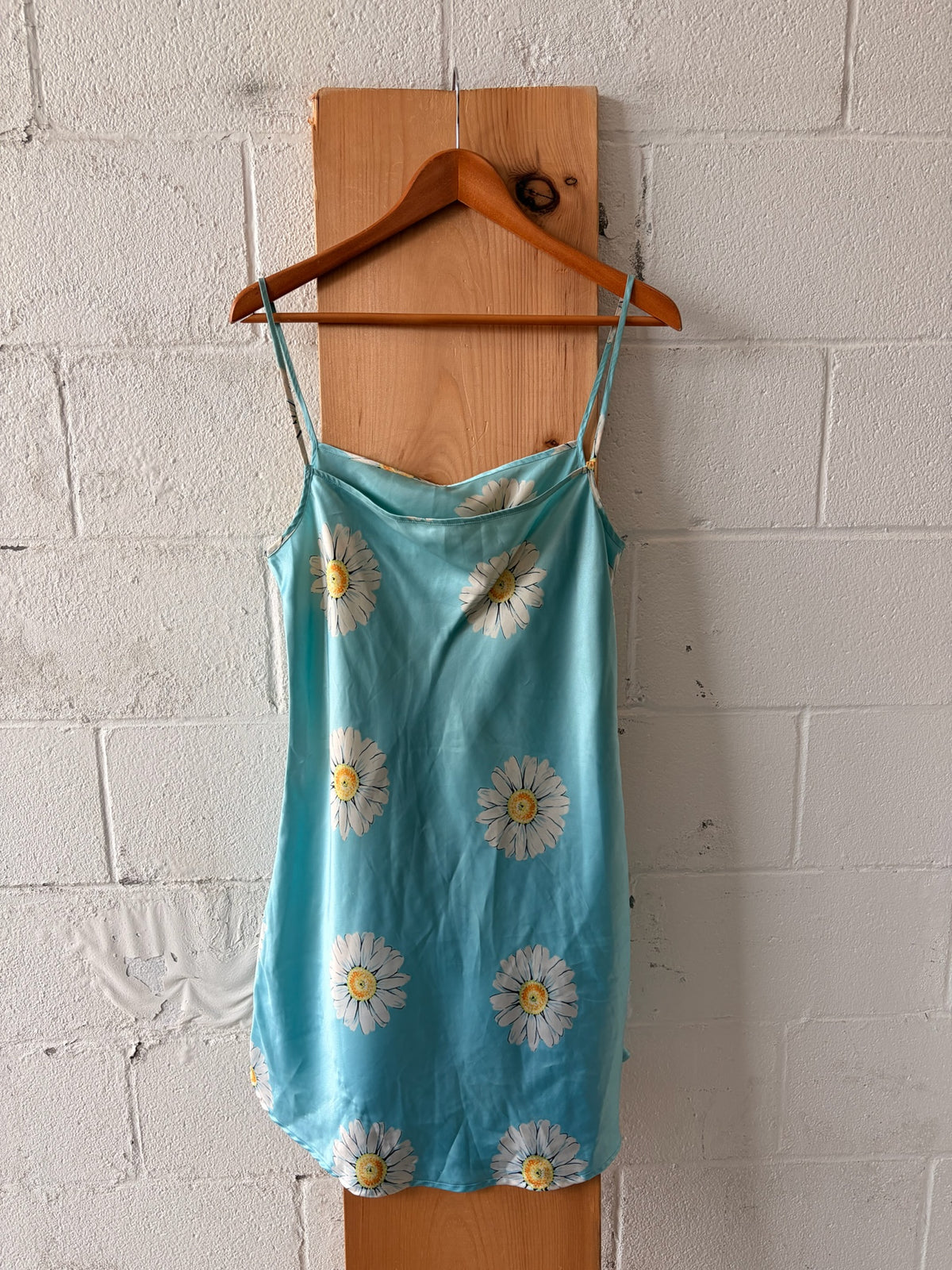 Little Daisy Slip Dress : S