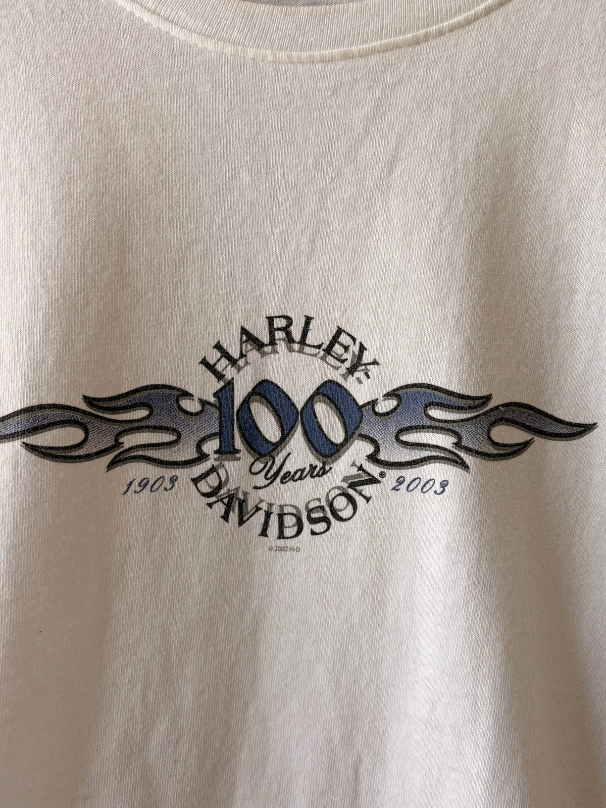 Y2K Harley Long Sleeve : XL