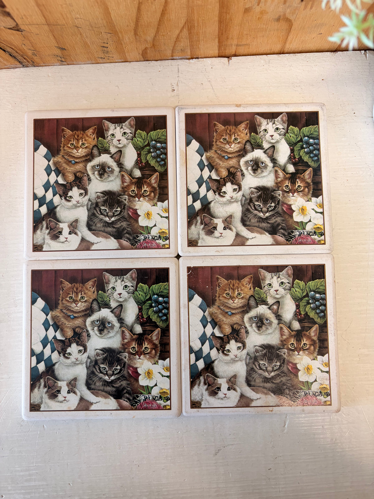 Vtg Cat Coaster Set (Local Pick Up Only)