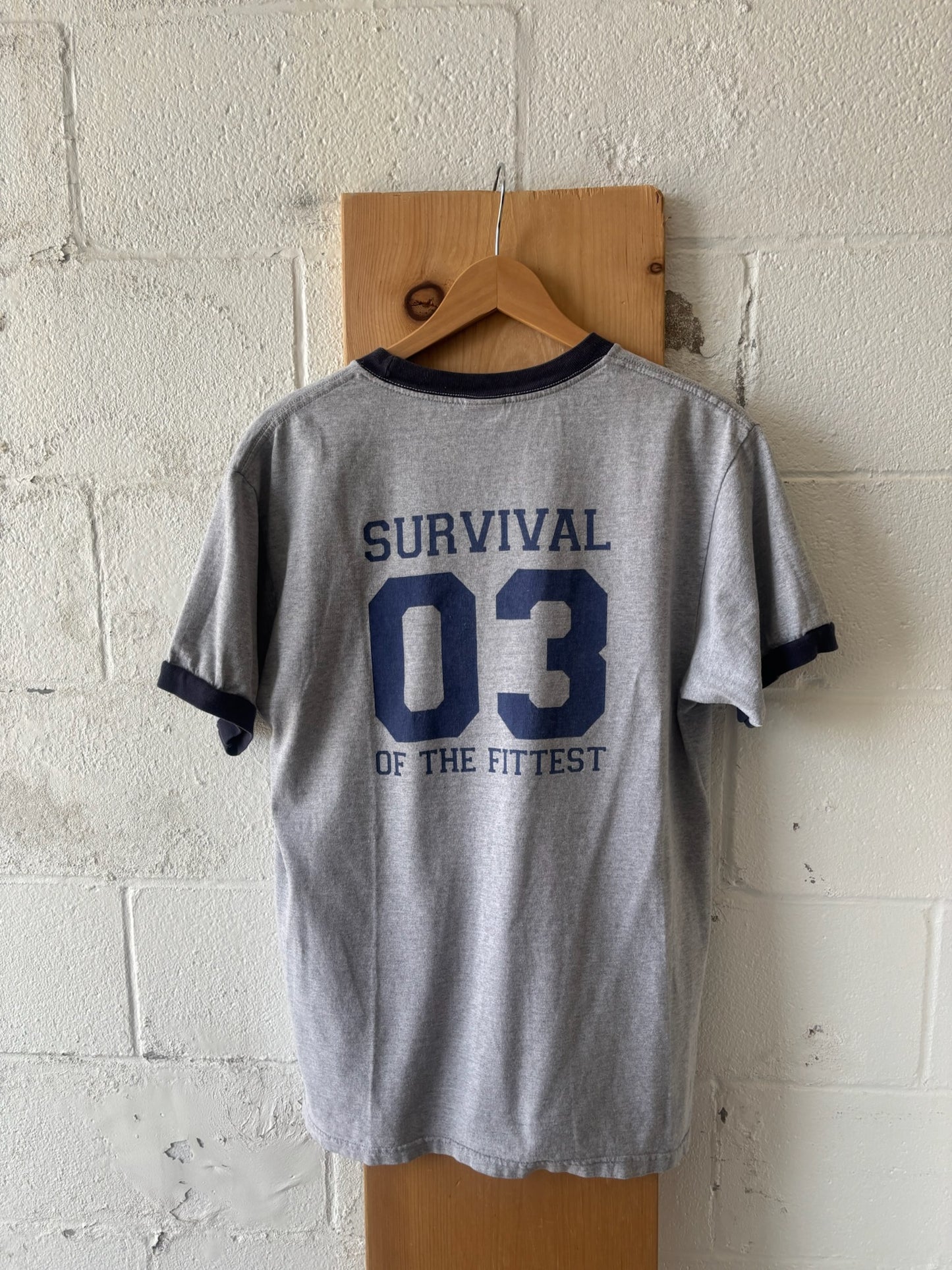 Darwin’s Pub Ringer : L