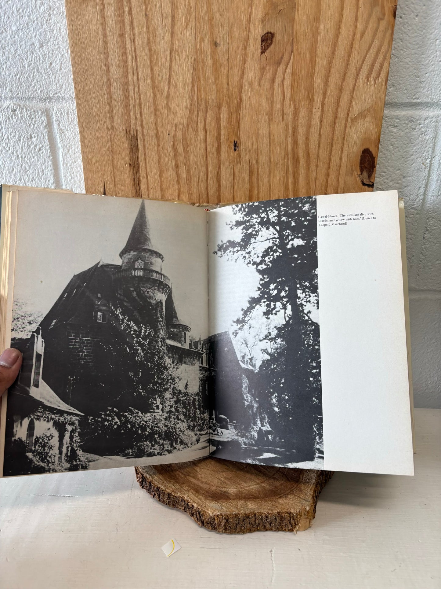 Vtg Colette A Taste of Life Book (Local Pickup Only)