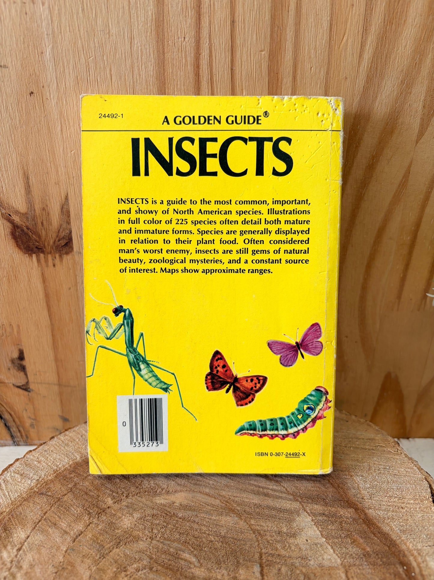 Vtg Golden Guide Insects Book