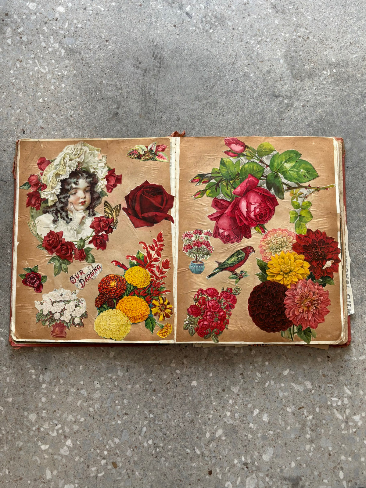 Vtg Early 1900’s Scrap Book (Local Pickup Only)