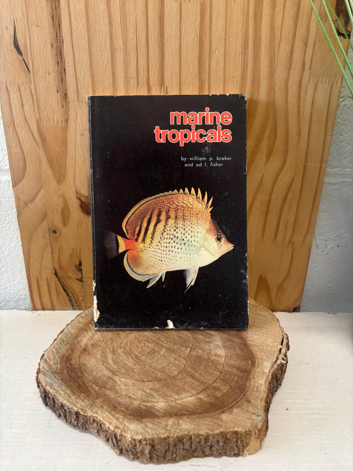 Vtg Fish Book (As Is)