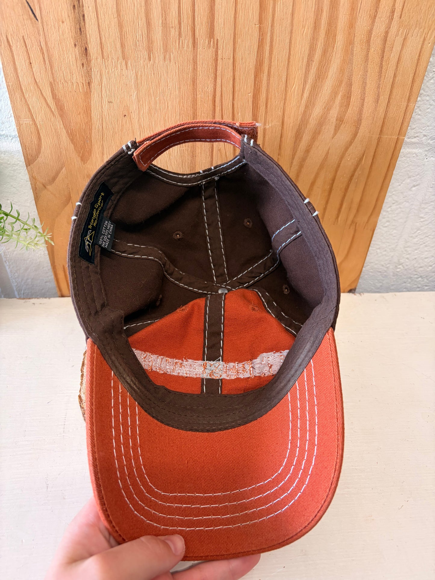 Mt. Rushmore Cap