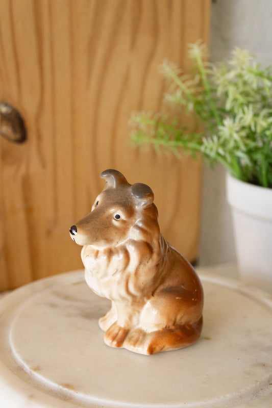 Brown Dog Shaker