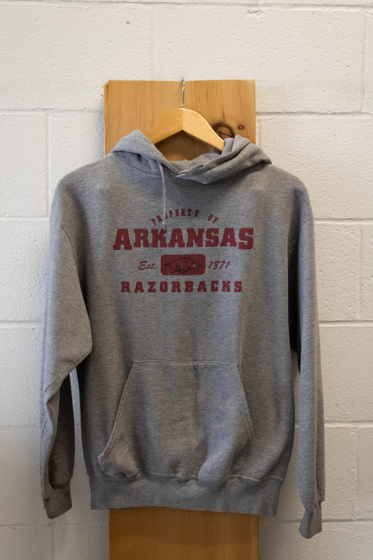 Grey Arkansas Hoodie : M