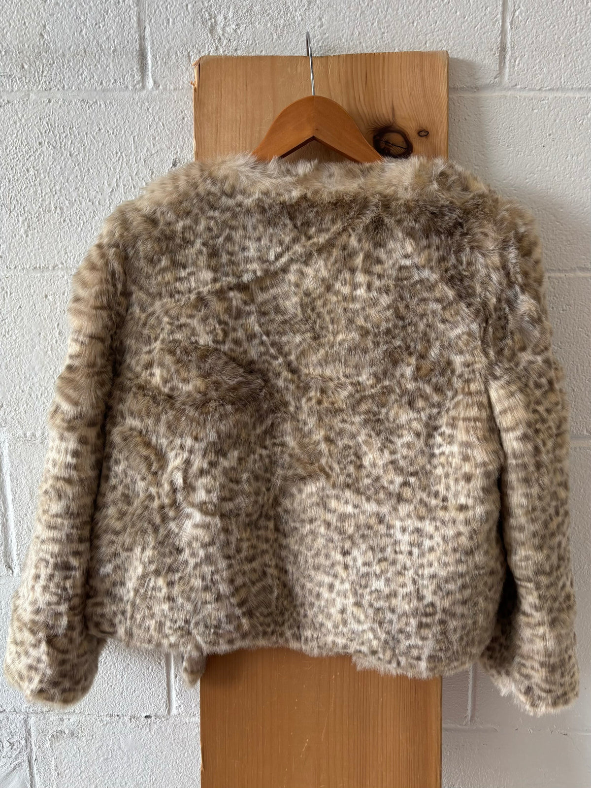 Faux Fur Coat : M