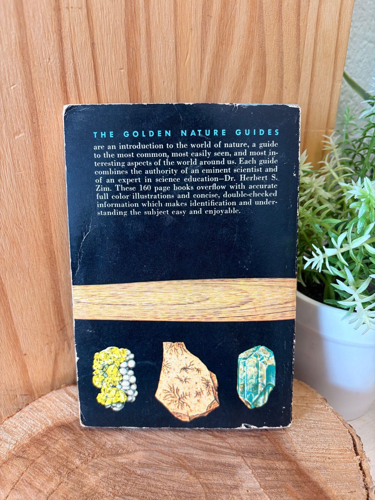 Vtg Little Rocks & Minerals Guide