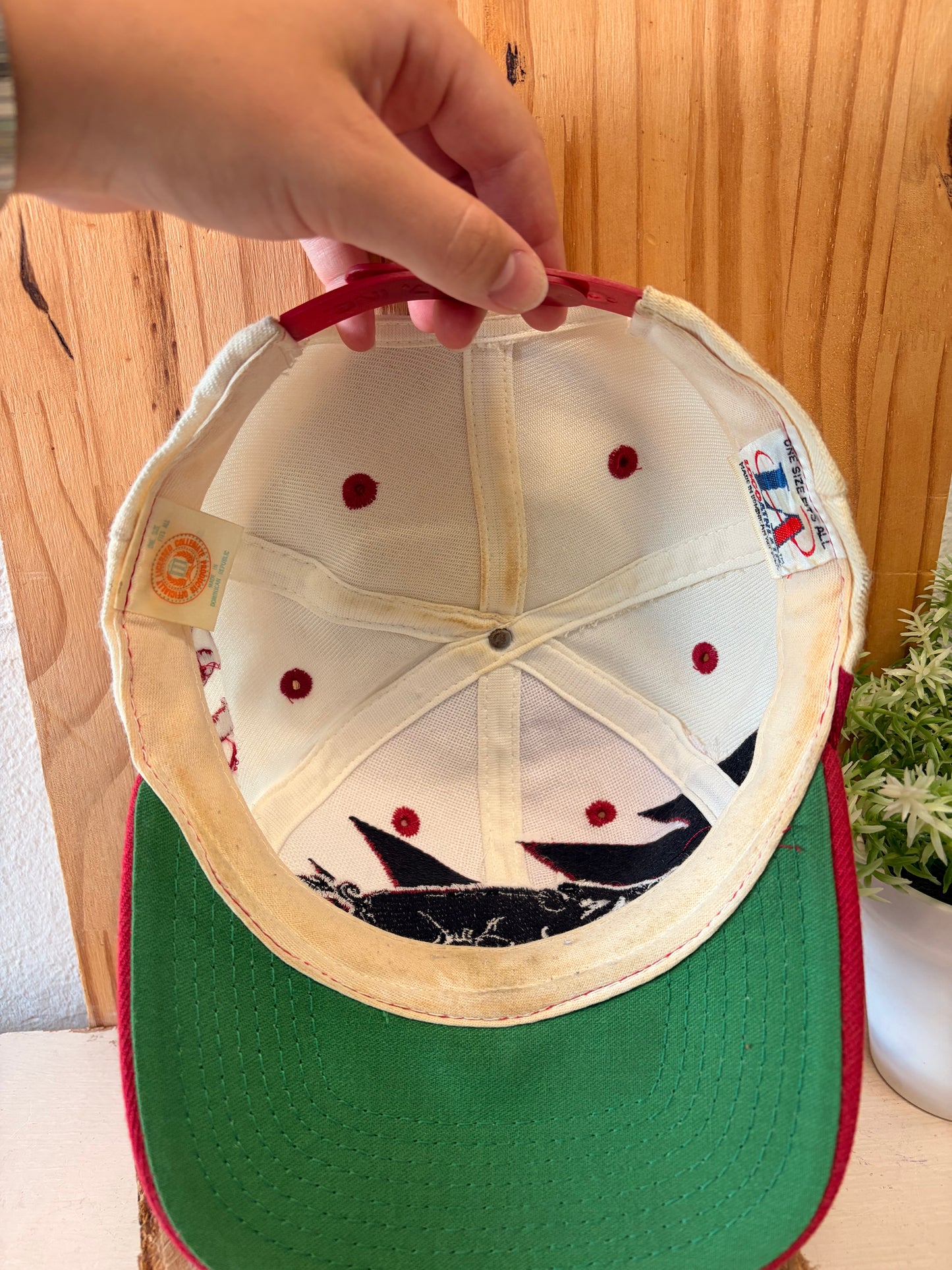 Vtg Razorbacks Cap
