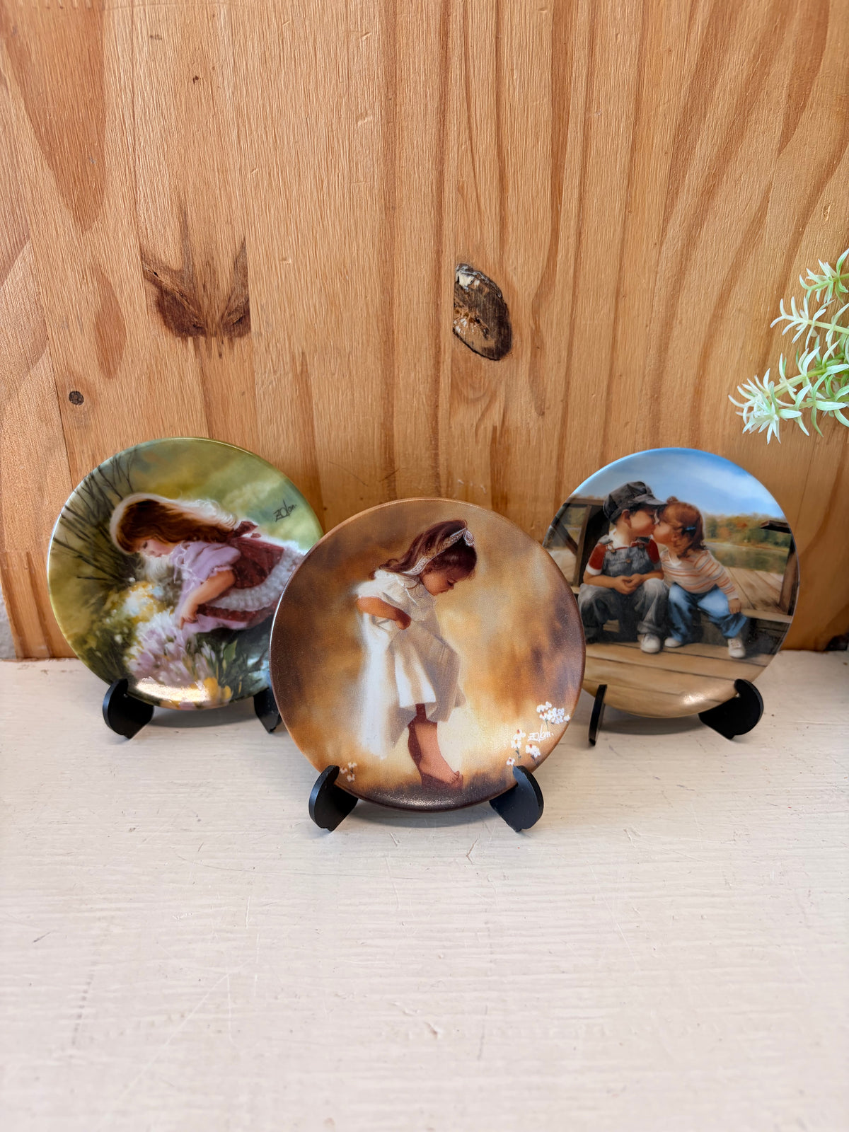 Donald Zolan Mini Plate Trio (Local Pick Up Only)