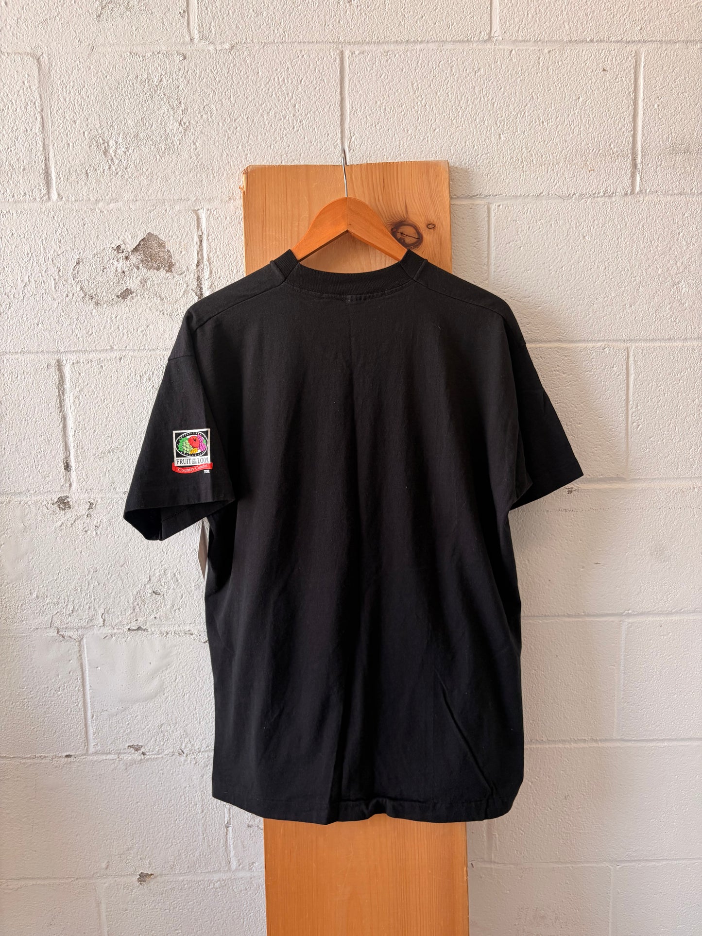 Vtg Single Stitch Country Comfort Tour Tee : L
