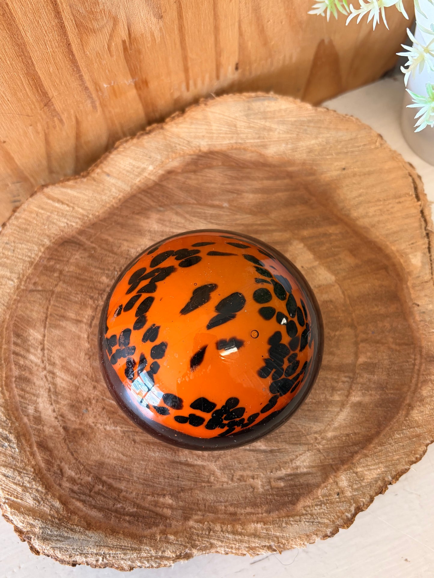 Glass Dome Paperweight (Local Pick Up Only)