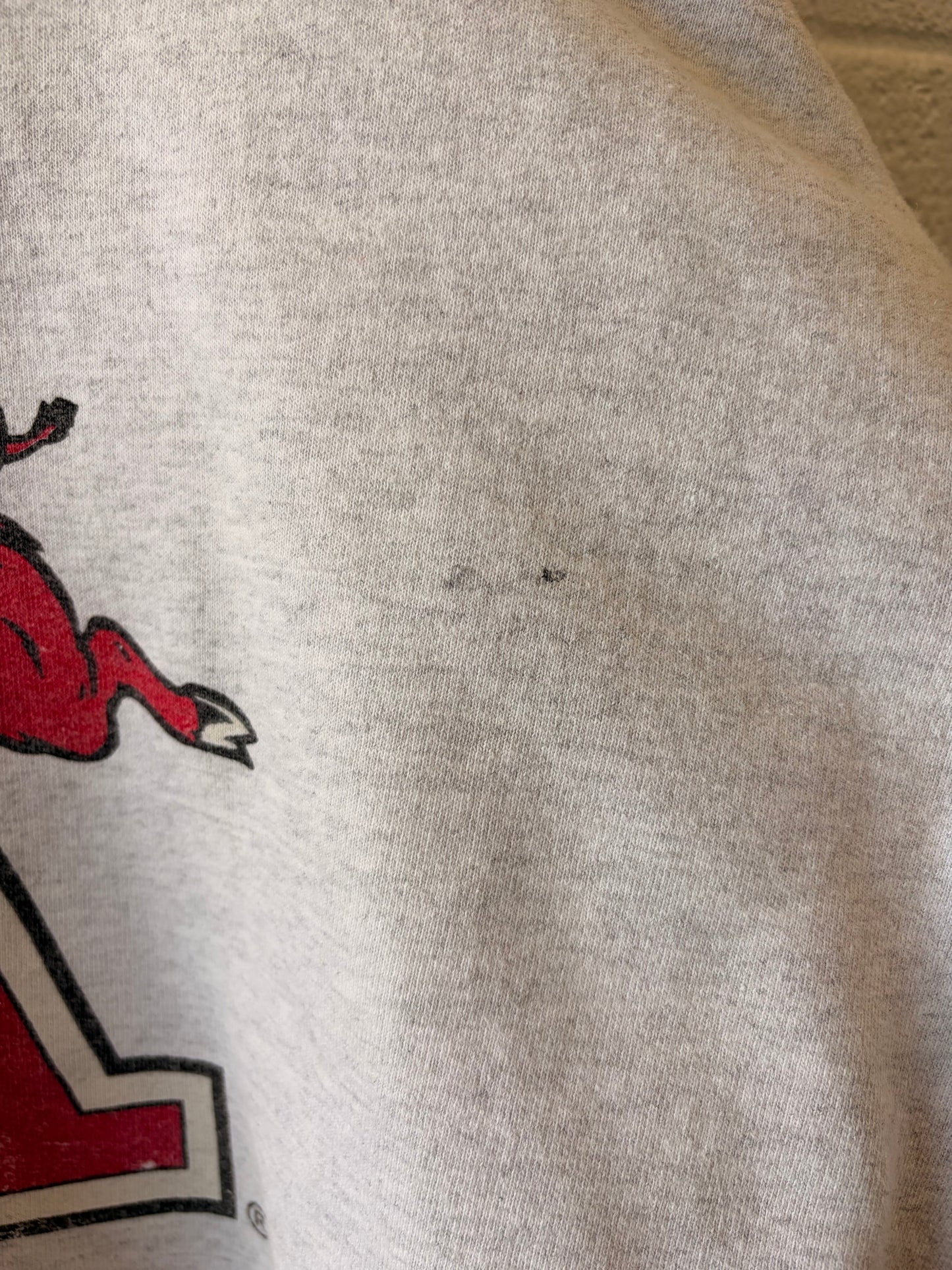 Vtg Arkansas Crewneck : L