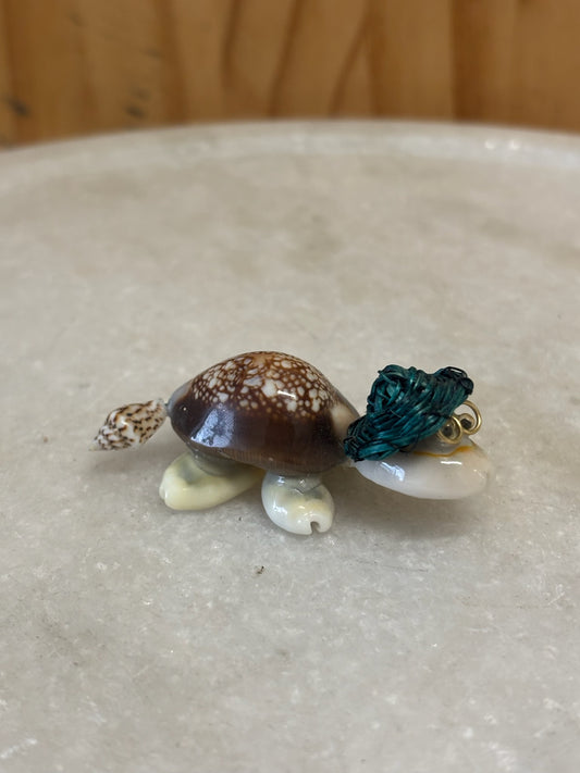 Tiny Shell Turtle With Glasses (as is)