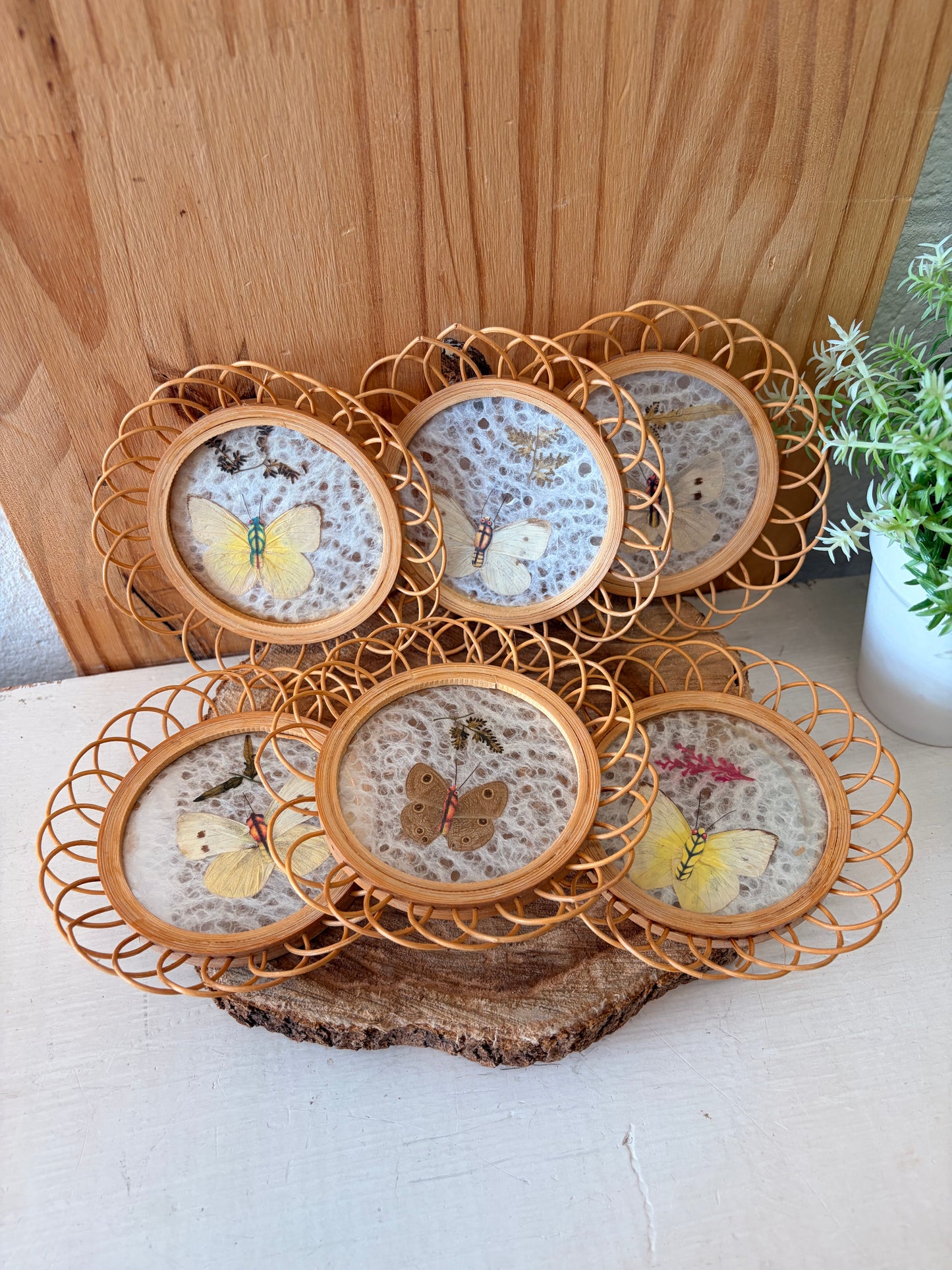 Vtg Pressed Butterfly Wicker Coaster Set (Local Pick Up Only)
