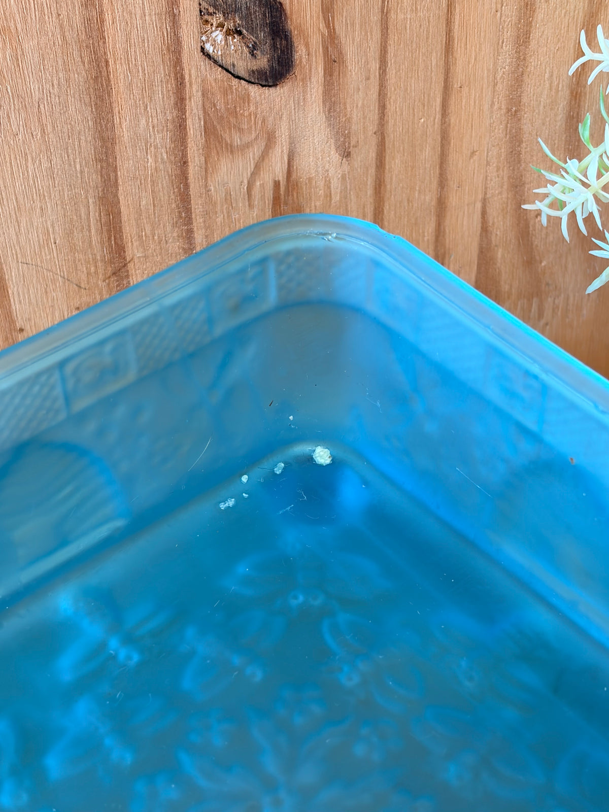 Vtg Indiana Glass Tiara Frosted Blue Etched Bee Box (Local Pick Up Only)